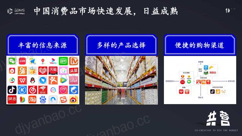 可分享版联合利华马红斐-真诚沟通高效营销 第2页