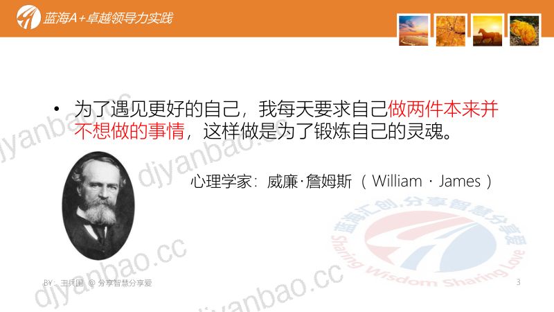 王兵围不确定环境下的创新领导力 第3页