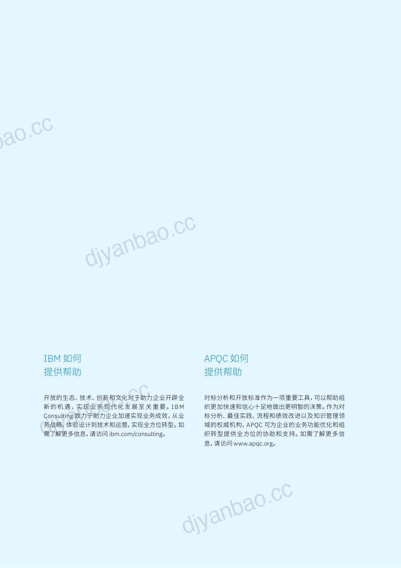 IBM无边界对标分析开放标准助力业务模式变革26页 第2页