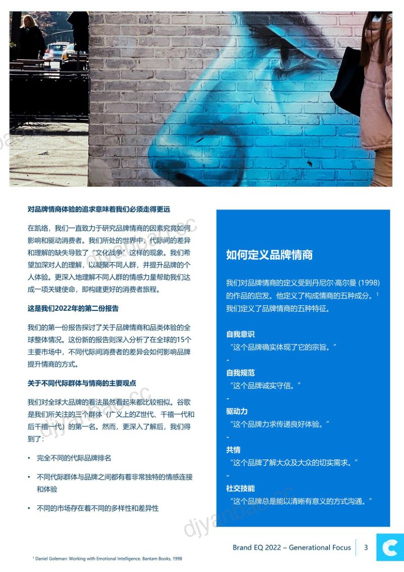 凯络2022品牌情商报告代际聚焦24页 第3页