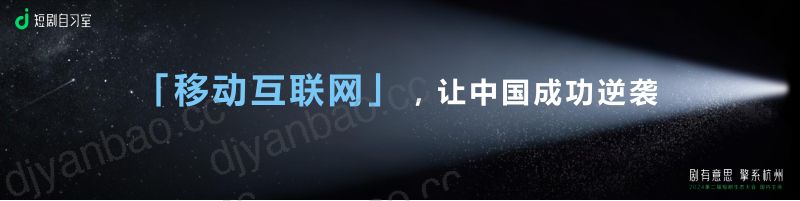 梁丽丽短剧出海中国故事走出去 第3页