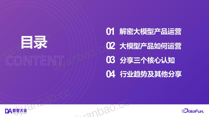 卢馨婷-大模型产品运营之路 第2页
