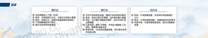 【五矿证券】新能源关键金属市场展望 第2页