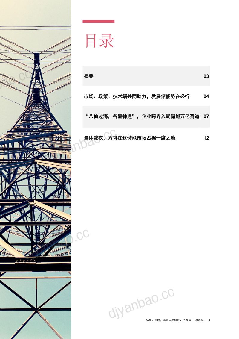 【普华永道】中国新能源产业洞察专题:扬帆正当时,跨界入局储能万亿赛道 第3页