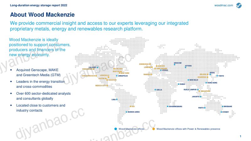 【Wood Mackenzie】2022全球长时储能报告 第2页