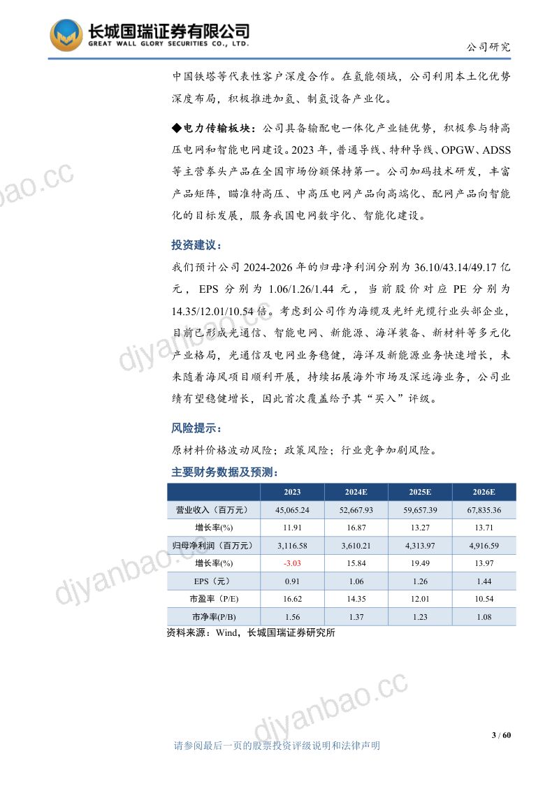 【长城国瑞证券】光通信及电网业务为基石 海风光储打造第二增长曲线 第3页