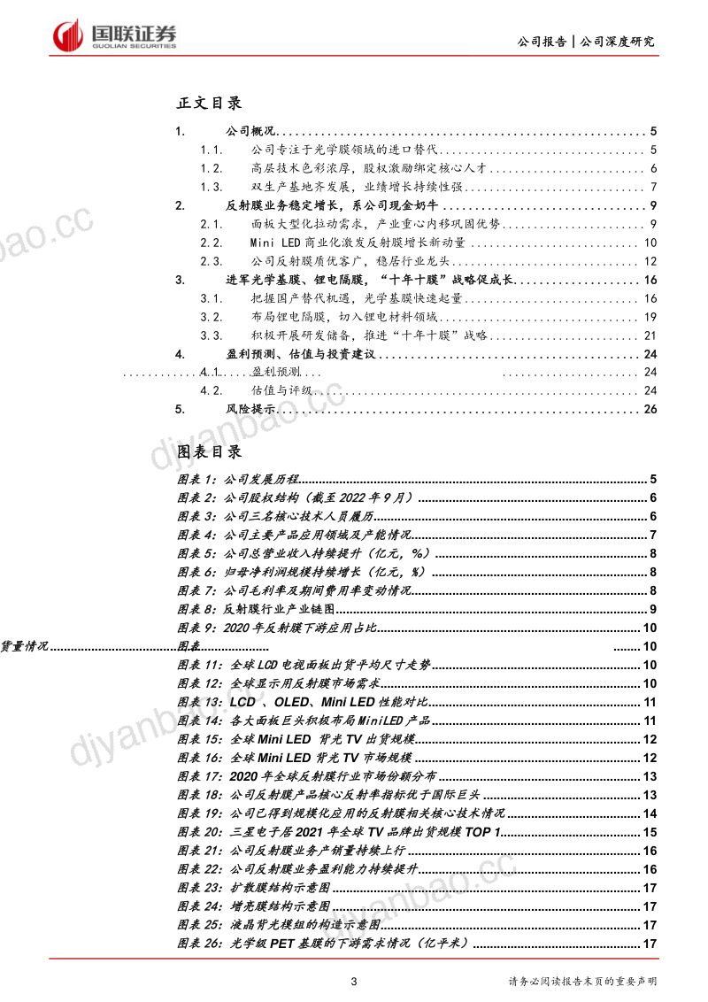 【国联证券】反射膜全球龙头,光学基膜、隔膜业务高增长 第3页
