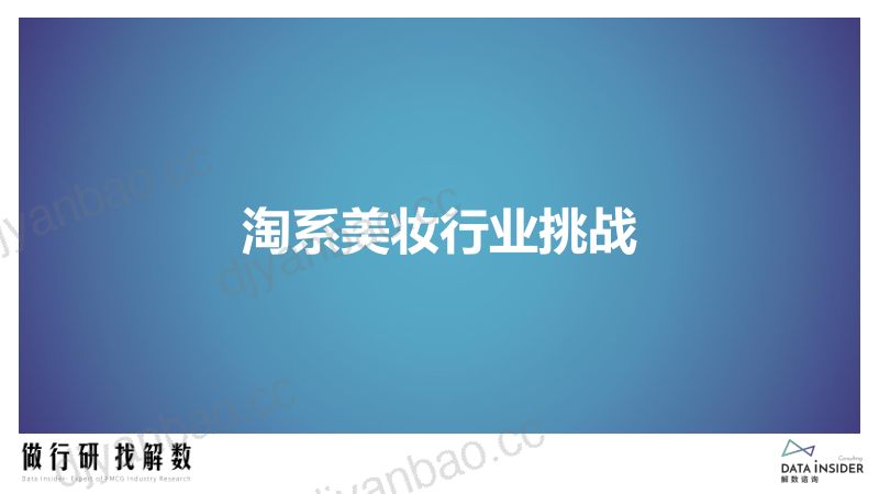 96-【解数咨询】2022年淘系美妆行业挑战与机遇 第3页
