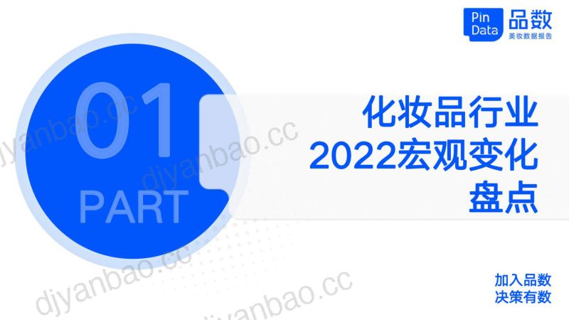66-【品数】2022化妆品行业年度复盘及趋势发布 第3页