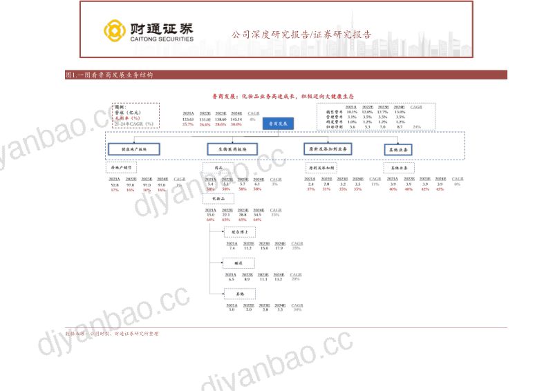 71-【财通证券】化妆品业务高速成长,积极迈向大健康生态 第2页