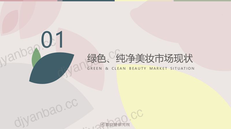 78-【言安堂】绿色、纯净美妆市场趋势和消费者调研 第3页