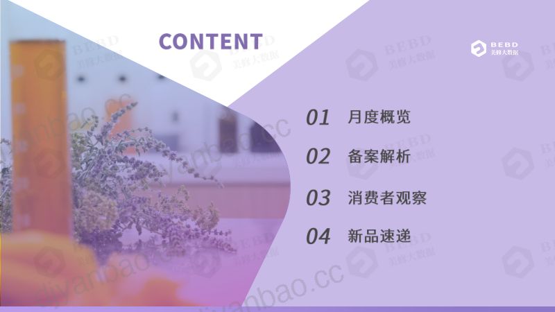 104-【美丽修行】数说6月-2022年6月美妆行业月度报告 第2页