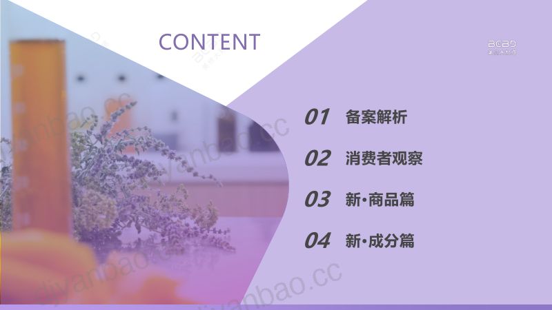 1-【美丽修行】2024年2月美妆行业报告 第2页