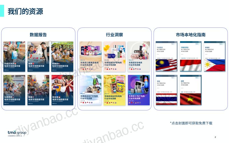 【TMO探谋】东南亚家用电器电商行业市场洞察报告(2024年12月版) 第2页