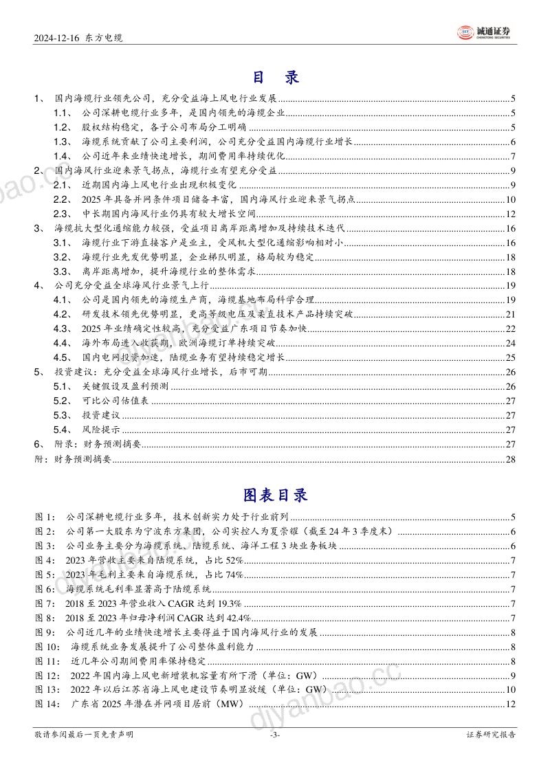 【诚通证券】东方电缆首次覆盖报告:海缆业务领先优势持续巩固,受益国内海上风电景气向上 第3页