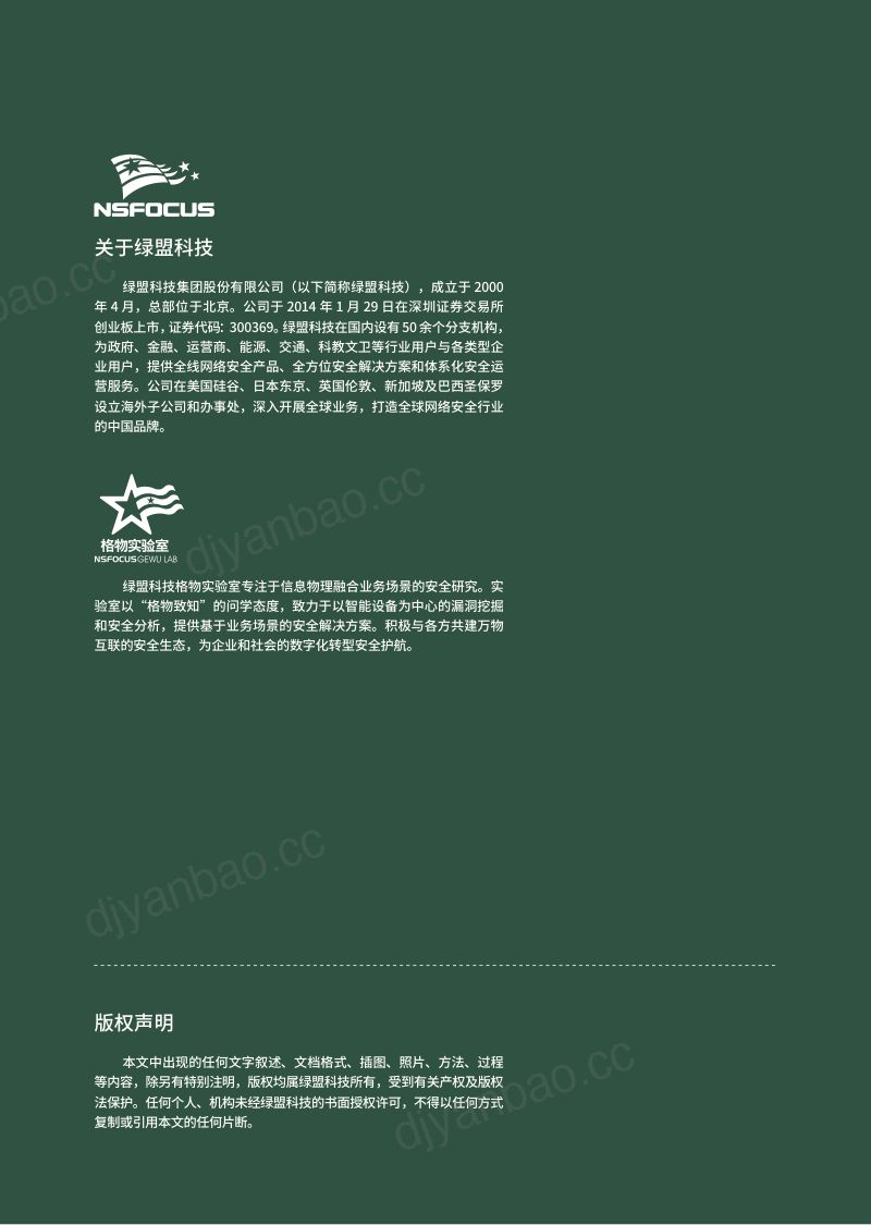 【绿盟科技】智星动网·安全引航卫星安全研究报告 第2页