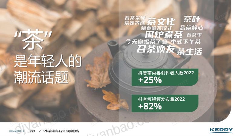 【凯爱瑞】茶饮行业茶风味线上分享会：创想新茶意 第2页
