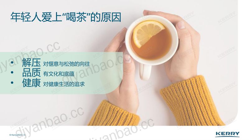 【凯爱瑞】茶饮行业茶风味线上分享会：创想新茶意 第3页