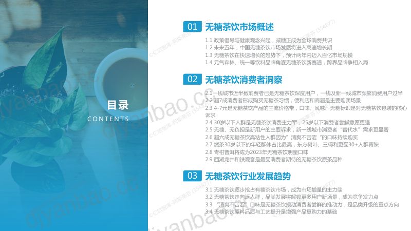 【其他方案】2023中国无糖茶饮行业白皮书 第2页