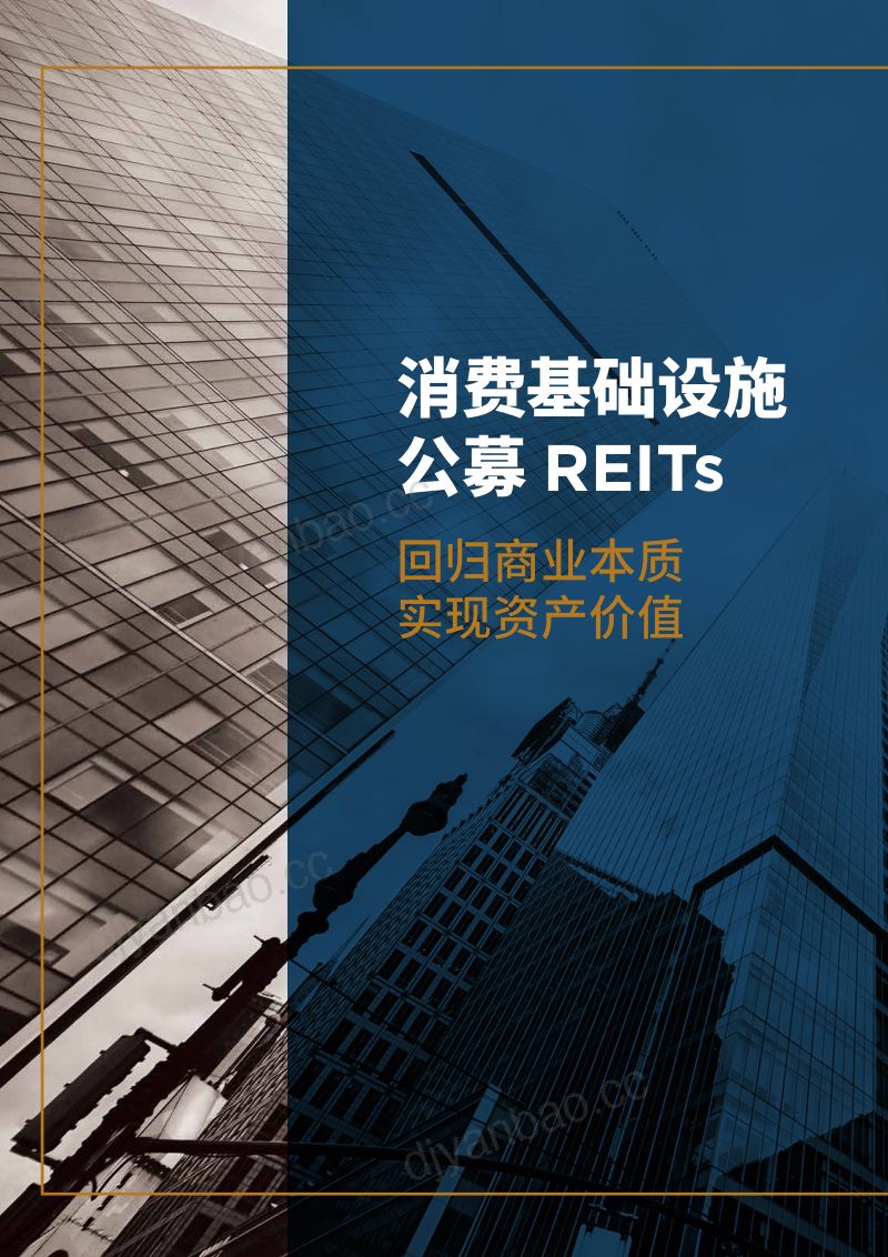 【戴德梁行】消费基础设施公募REITs:回归商业本质 实现资产价值 第2页