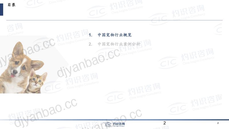 38-【亚宠研究院】宠物行业蓝皮书 第2页