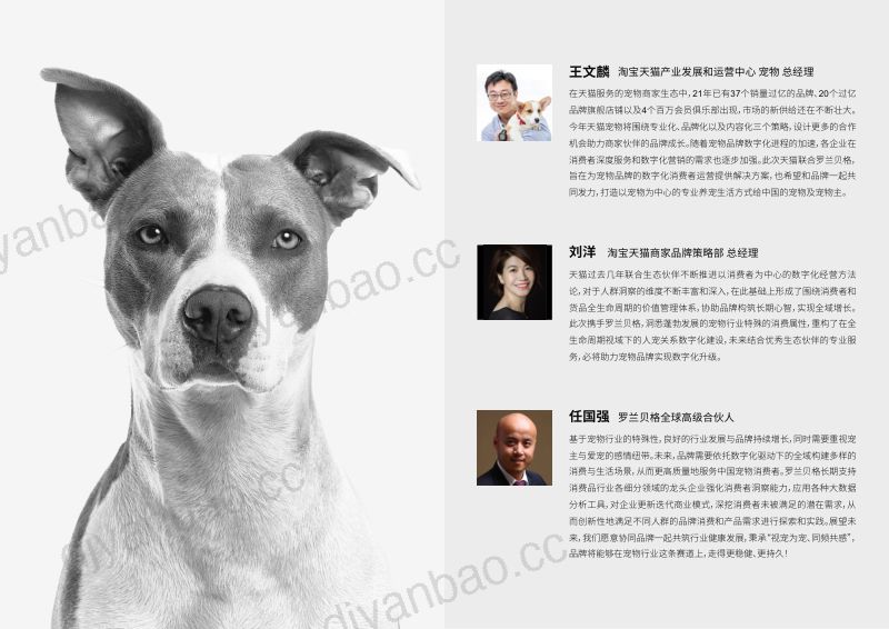 51-【天猫,罗兰贝格】2022 宠物品牌人群策略白皮书 第2页