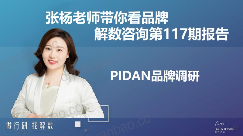 46-【解数咨询】张杨带你看宠物用品品牌-Pidan全域拆解 第2页