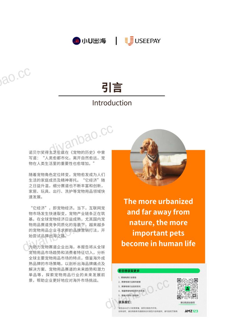 62-【小U出海】全球宠物用品电商市场分析 第2页
