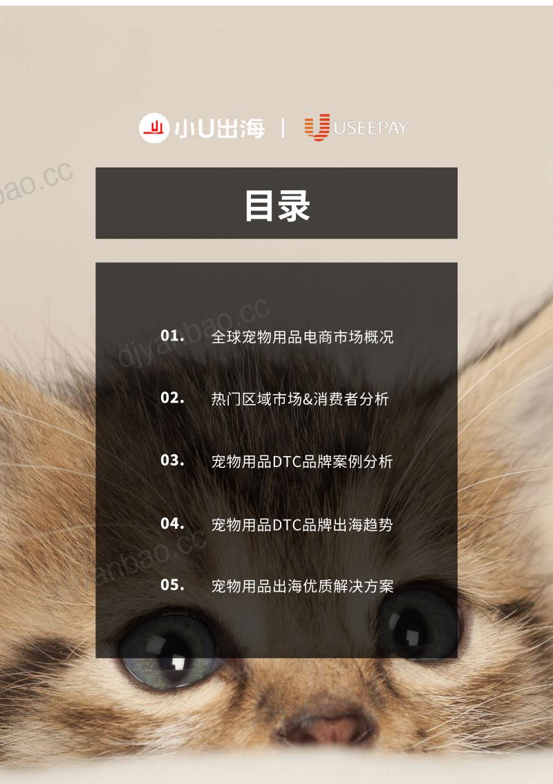 62-【小U出海】全球宠物用品电商市场分析 第3页