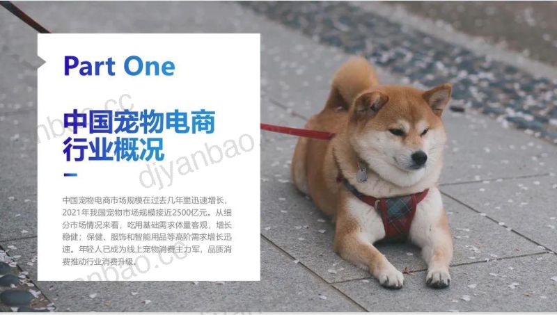 42-【浙江省电子商务促进会】中国宠物电商行业洞察(2022) 第2页