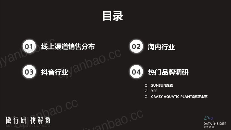 21-【解数咨询】宠物-水族世界行业调研：SUNSUN森森，YEE，疯狂水草 第3页