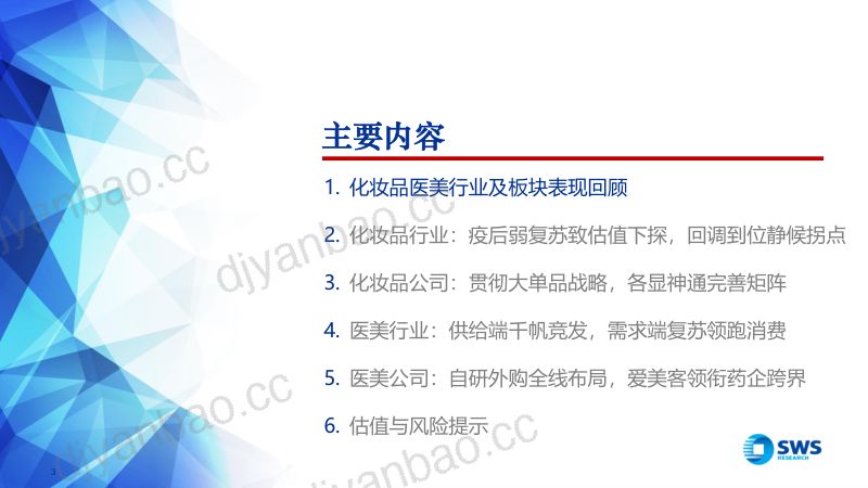 【申万宏源】化妆品医美行业2023年中期投资策略:复苏偏弱估值下行,强化内功把握拐点 第3页
