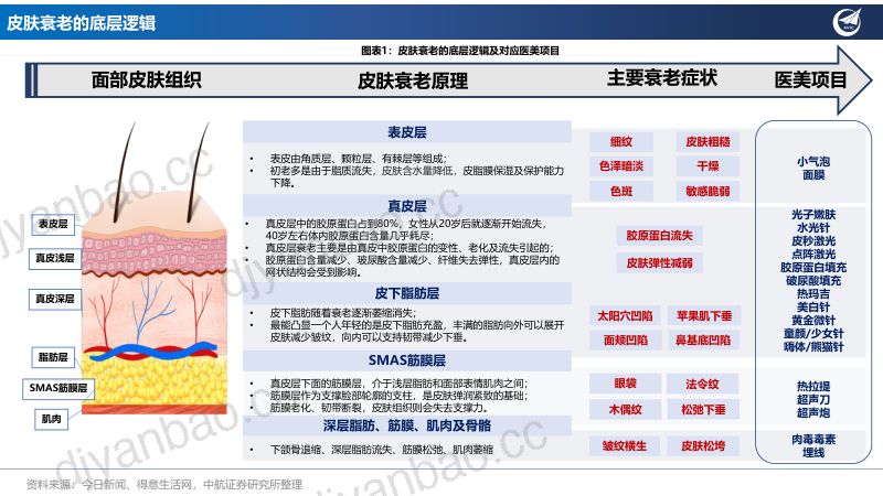【中航证券】医美行业专题报告:全功效轻医美产品投资图鉴 第3页