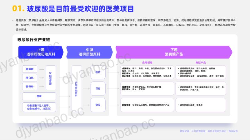 【嘉世咨询】2023医美玻尿酸行业简析报告 第2页