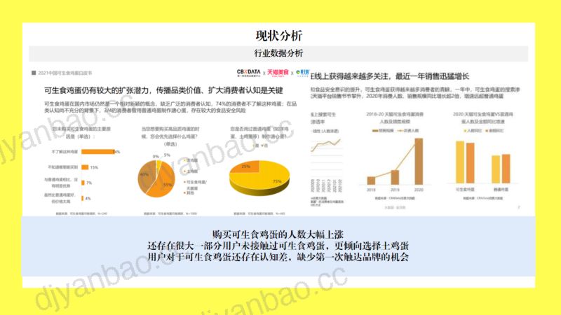 【营销方案】2023天猫黄天鹅直播代播营销方案 第3页