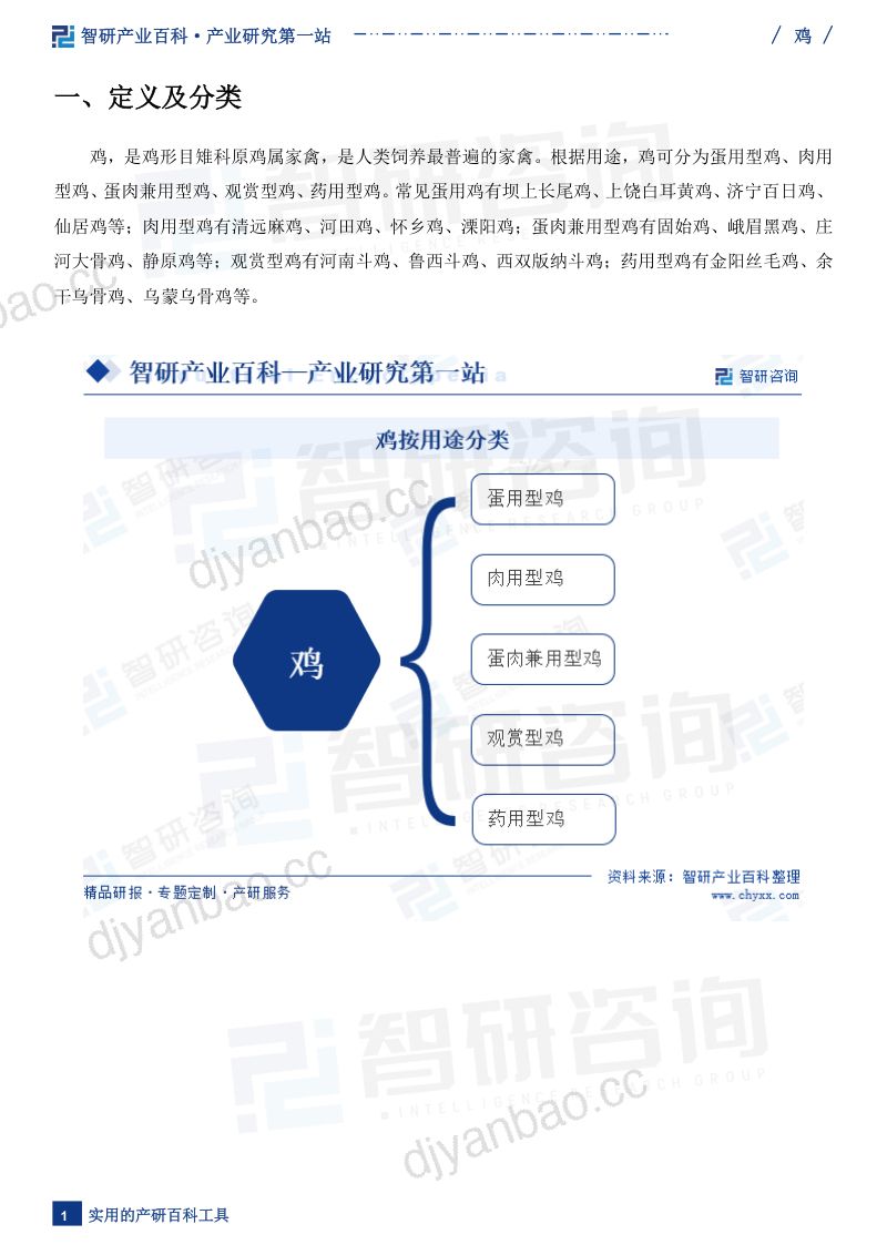 【智研咨询】鸡行业市场现状分析（附行业政策、行业壁垒、发展现状分析及市场前景预测）智研咨询发布 第3页