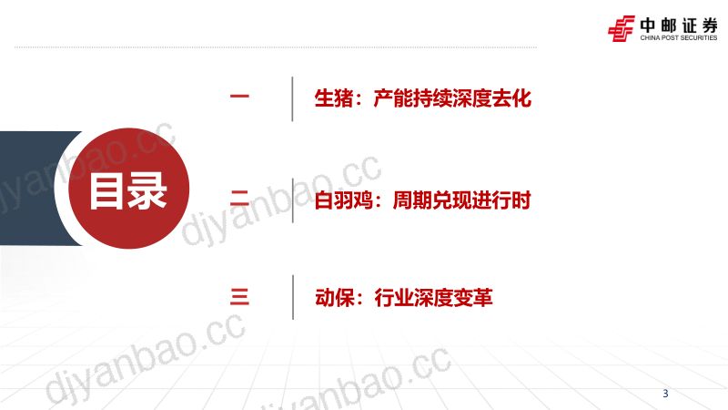 【中邮证券】农林牧渔行业2023年中期策略报告：猪周期磨底中，鸡周期兑现进行时 第3页