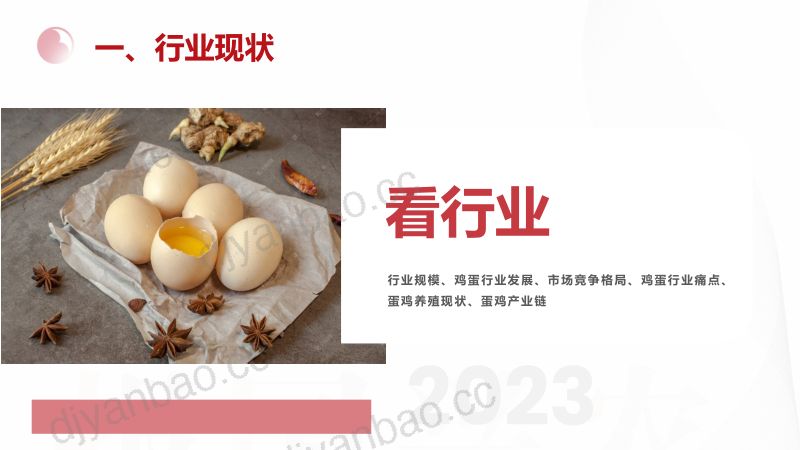 【大北农集团】小鸡蛋，大生意 第3页