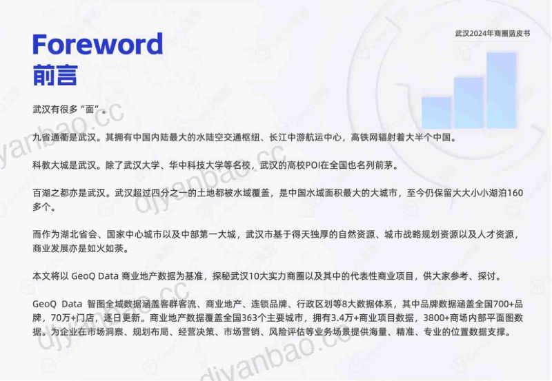 【GeoQ智图】武汉2024年商圈蓝皮书 第2页