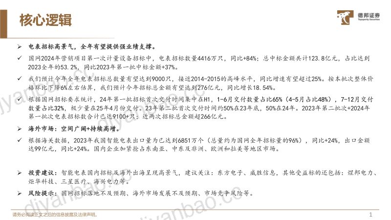 【德邦证券】电力IT系列2:更新周期+出海高增,智能电表高景气 第2页