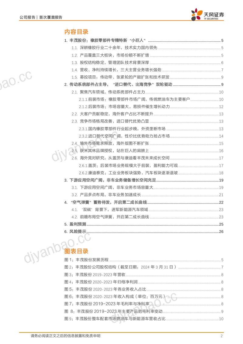 【天风证券】橡胶传动带“小巨人”,出口+后市场+品类拓展打开成长空间 第2页