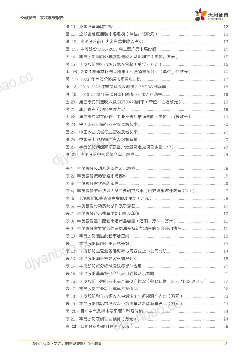 【天风证券】橡胶传动带“小巨人”,出口+后市场+品类拓展打开成长空间 第3页