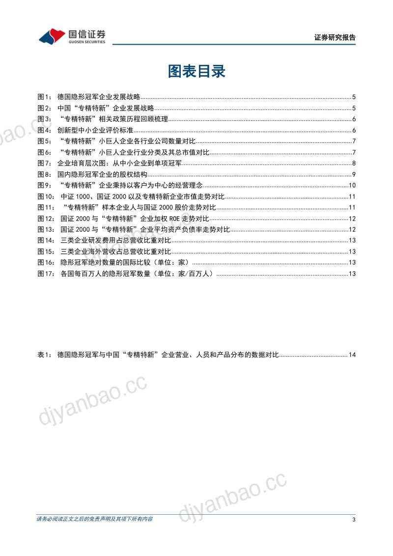 【国信证券】“隐形冠军”系列专题（二）：“专精特新”和“隐形冠军”的多维对比 第3页