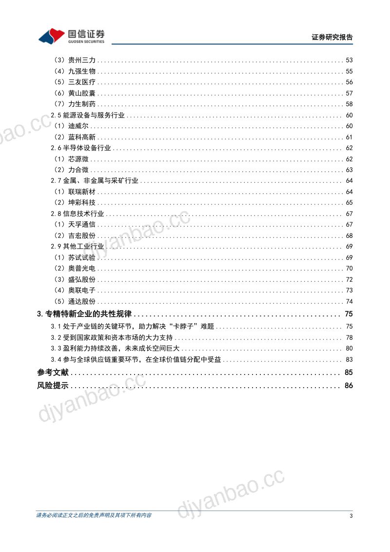 【国信证券】策略专题研究:A股专精特新上市公司图鉴 第3页