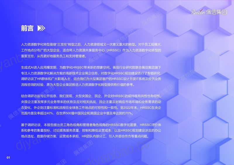 【佩信集团】从实践到实效-数字化转型中的人力资源共享服务中(HRSSC)规划建设研究 第3页