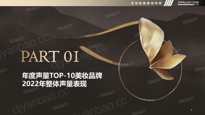 14-【克劳锐】2022年新媒体声量TOP-10美妆品牌年度营销盘点 第3页