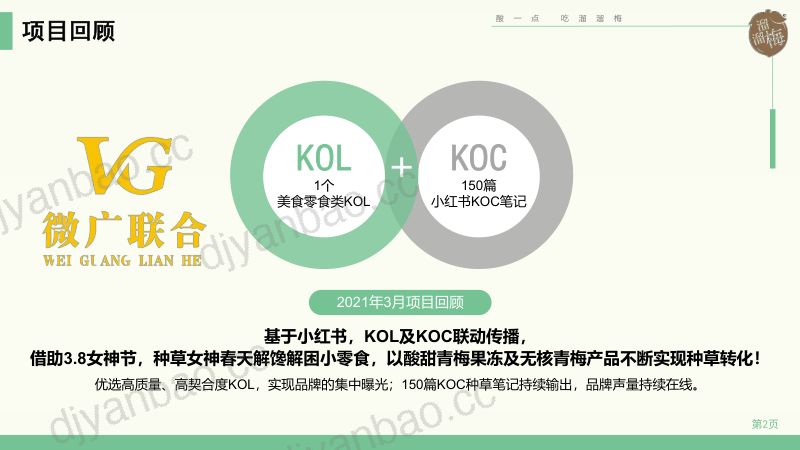 38-【微广联合】溜溜梅小红书KOLKOC投放结案 第2页