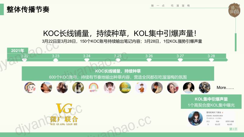38-【微广联合】溜溜梅小红书KOLKOC投放结案 第3页