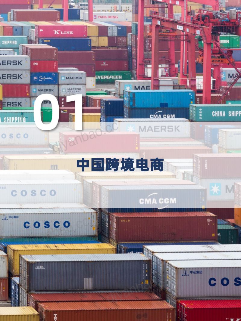 【物联云仓】跨境电商物流：百舸争流千帆竟，长风破浪正 第3页