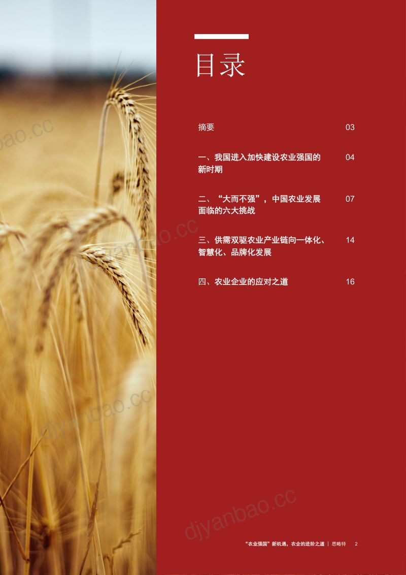 15-【思略特】”农业强国“新机遇农企的进阶之道（2023） 第3页